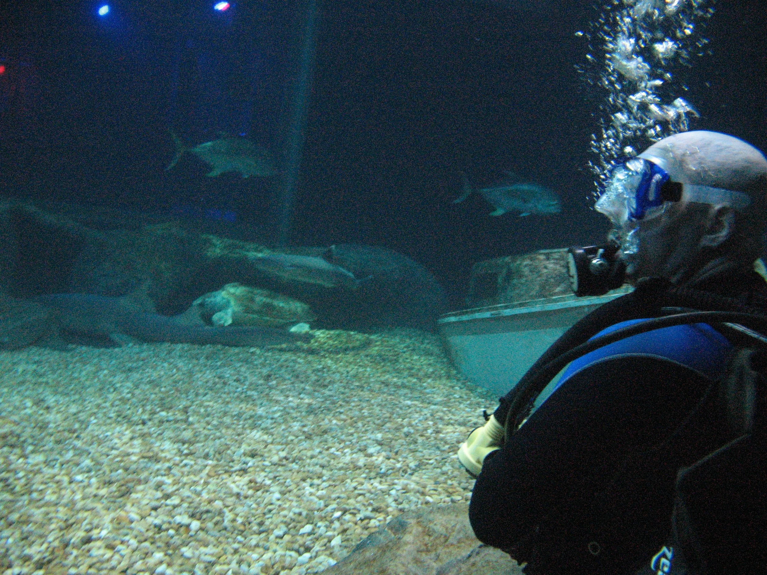 FA_PH1_051310_162337029_01_FAO3GIX1386.JPG
