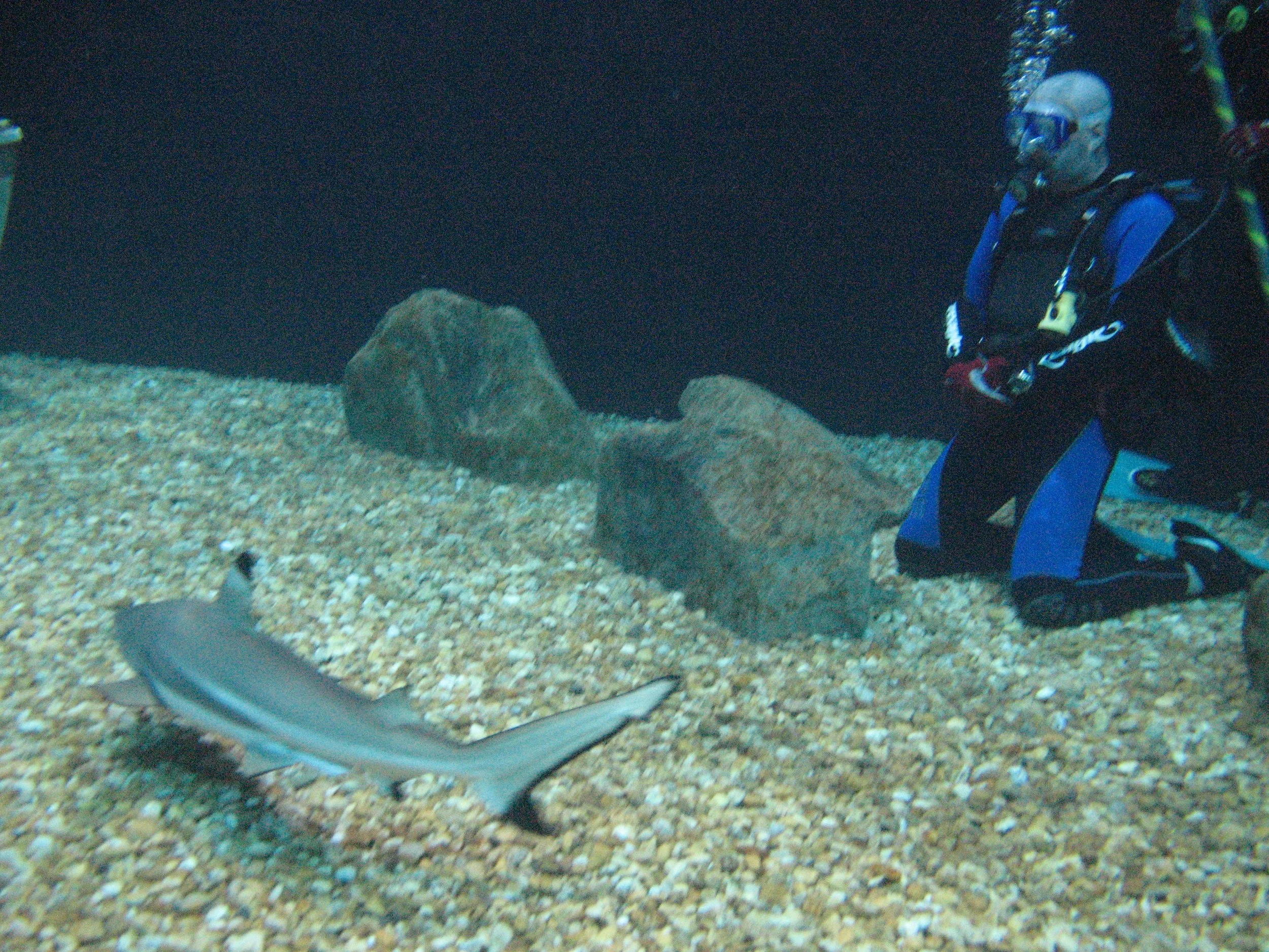 FA_PH1_051310_162337019_01_FAO3GIX1386.JPG