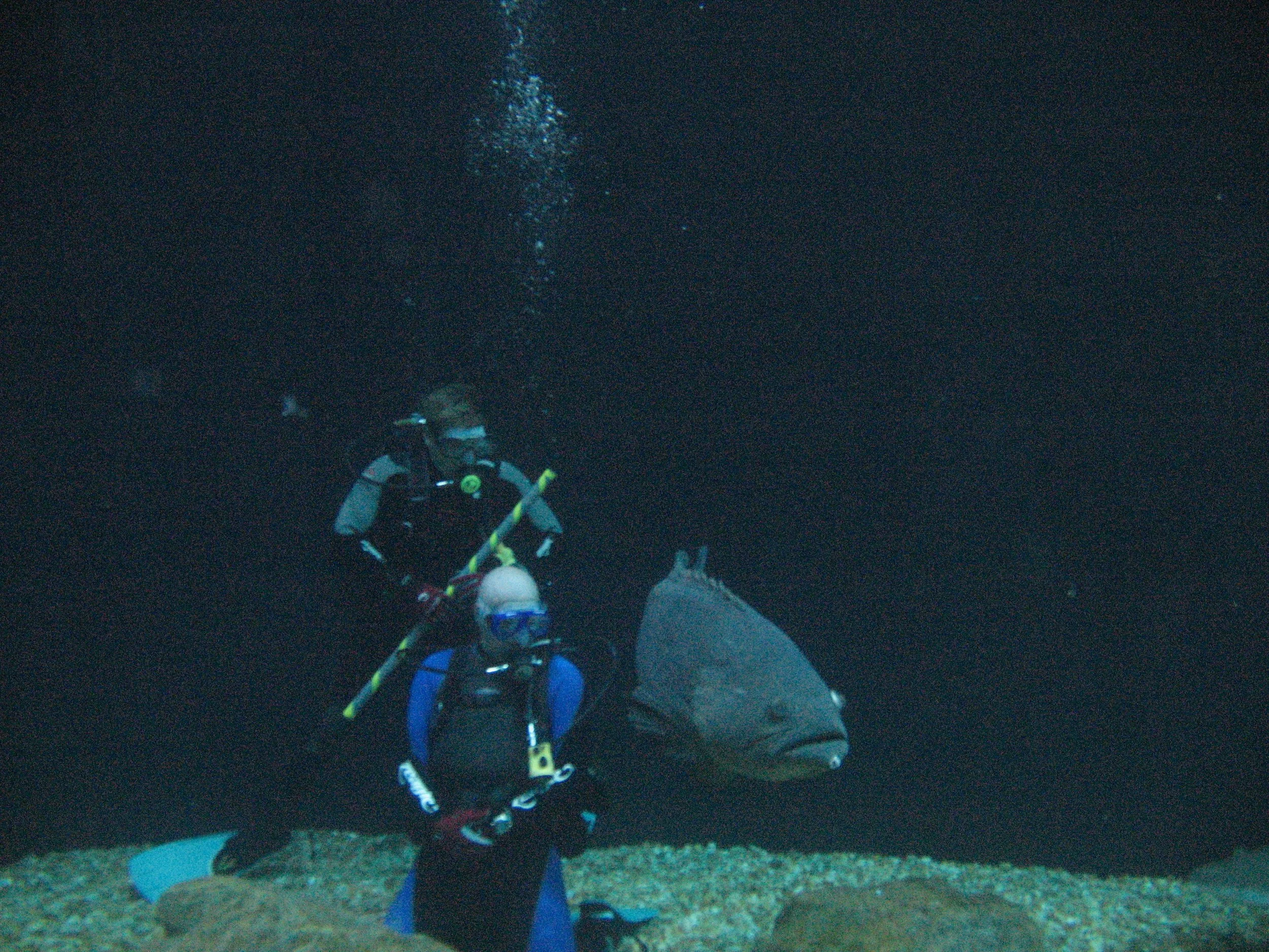 FA_PH1_051310_162337005_01_FAO3GIX1386 (2) - Copy.JPG
