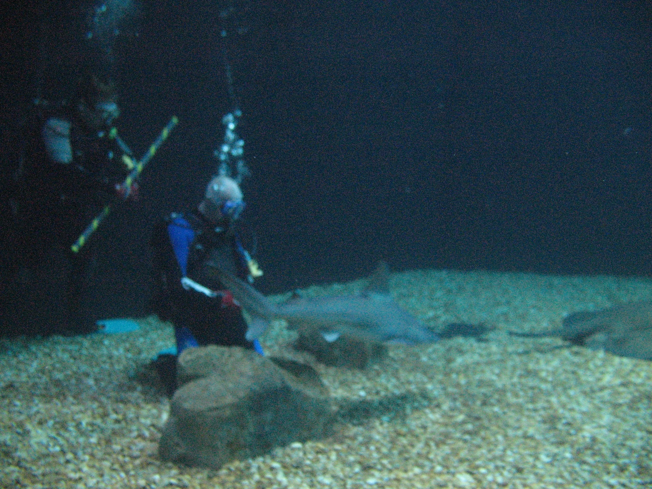 FA_PH1_051310_162337013_01_FAO3GIX1386.JPG