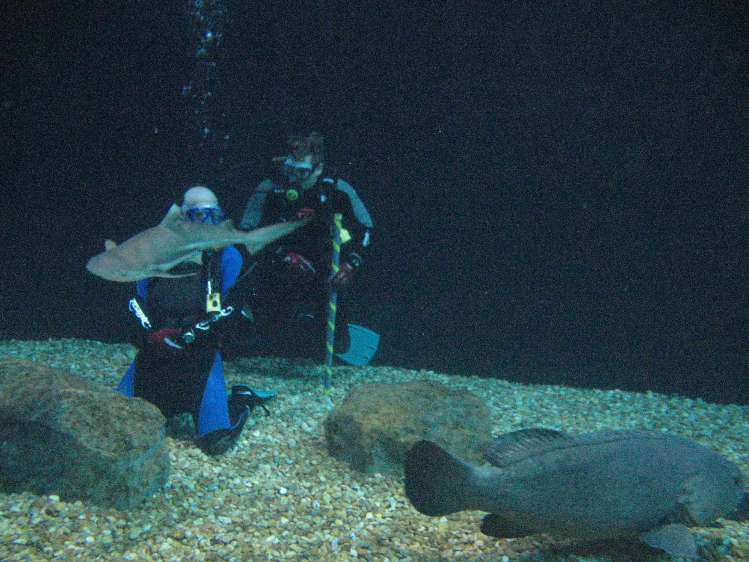 FA_PH1_051310_162337006_01_FAO3GIX1386 - Copy.JPG