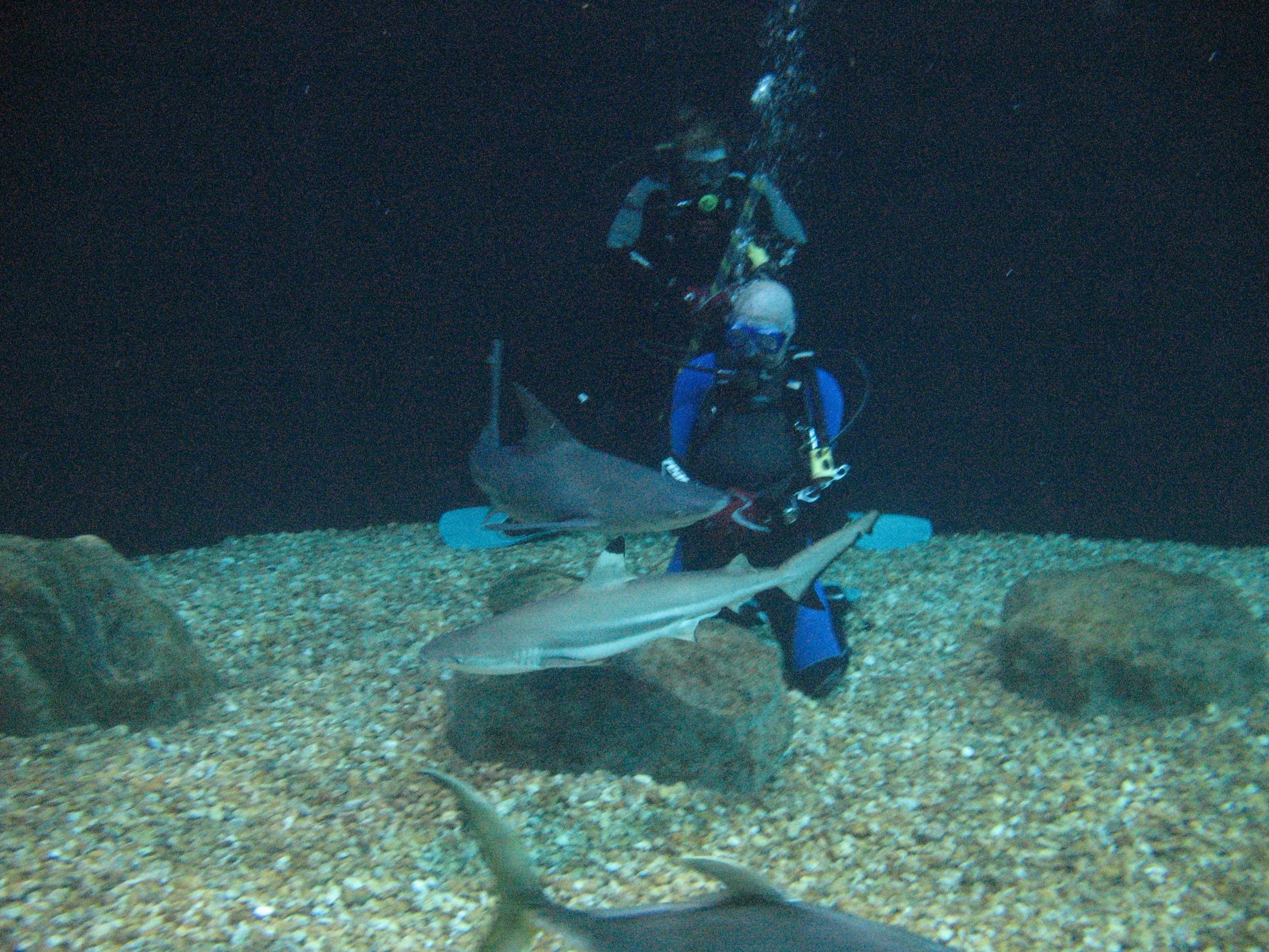 FA_PH1_051310_162337010_01_FAO3GIX1386 - Copy.JPG