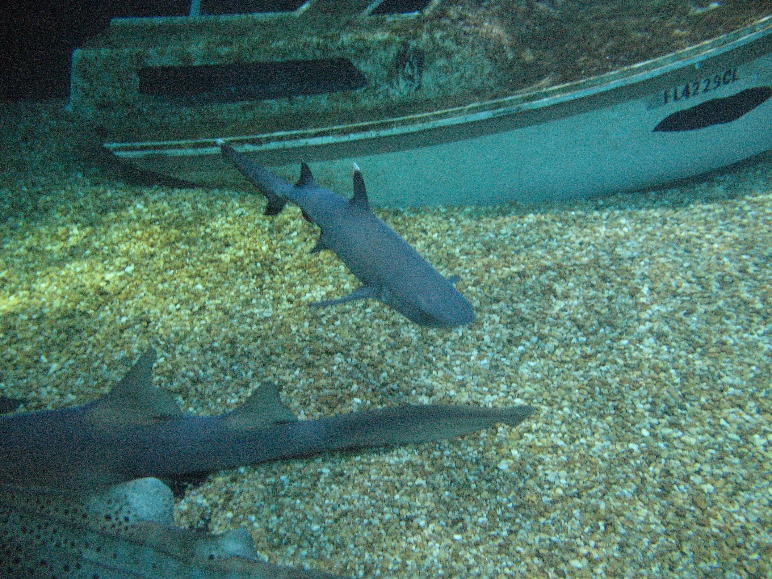 FA_PH1_051310_162337008_01_FAO3GIX1386.JPG
