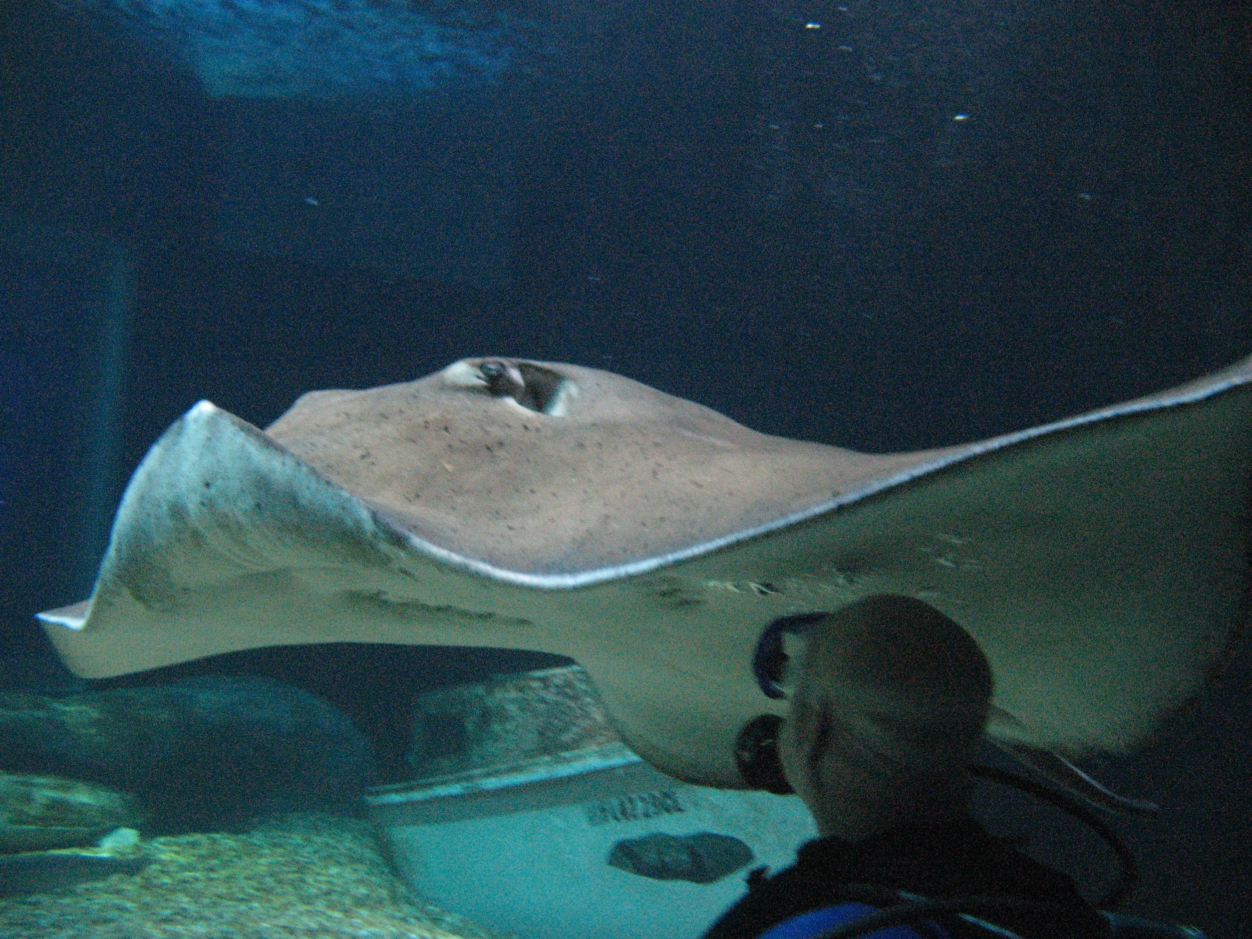 FA_PH1_051310_162337030_01_FAO3GIX1386.JPG