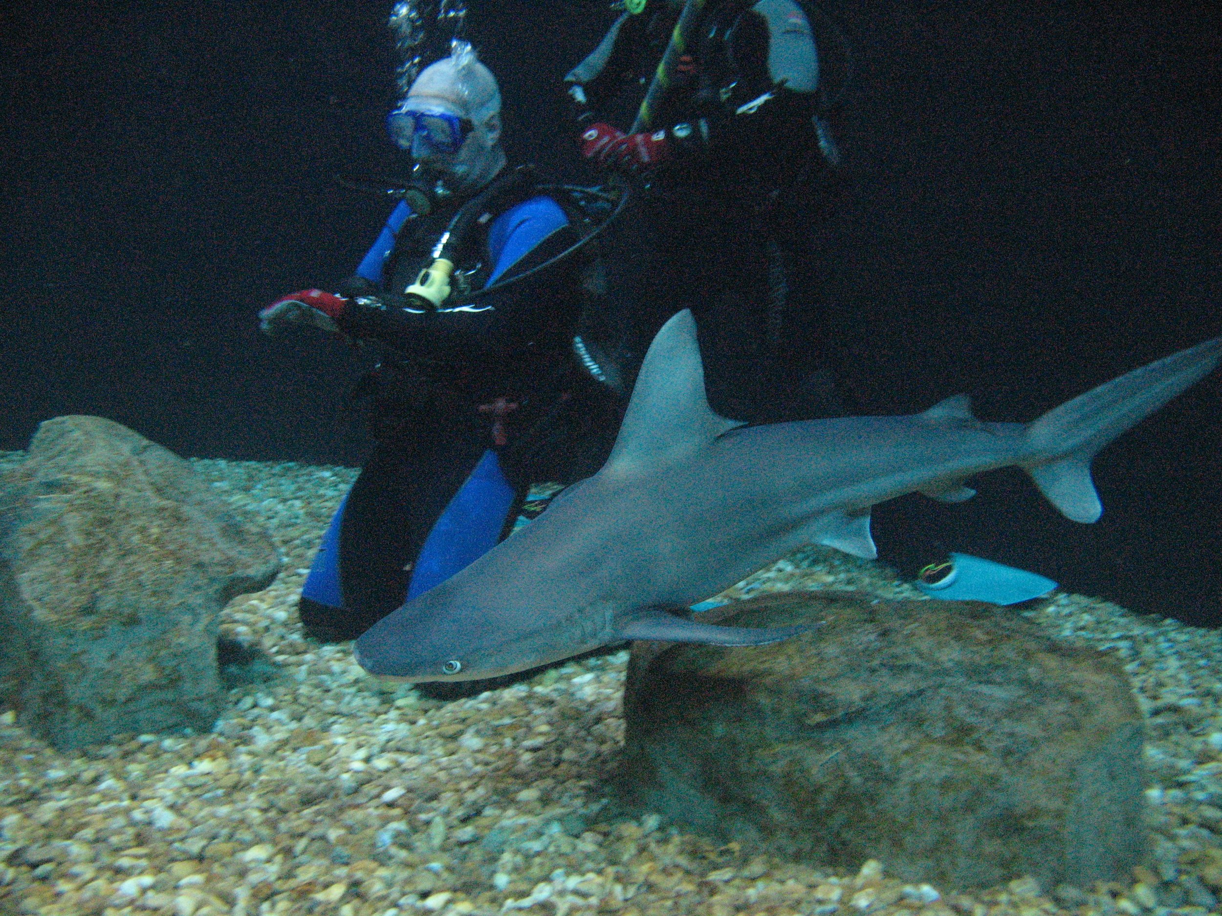 FA_PH1_051310_162337021_01_FAO3GIX1386.JPG