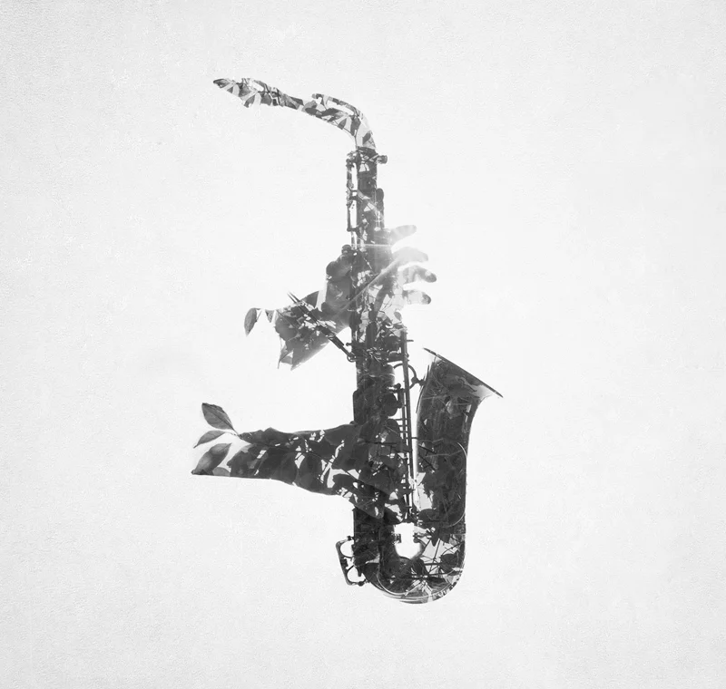 Panel Derecho_Interior.jpg