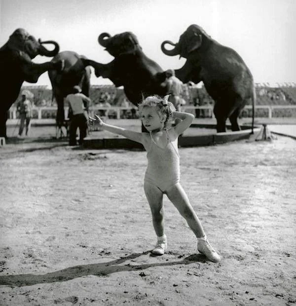 bfee1151a38c257a68a827f1859181a4--vintage-circus-white-photography.jpg