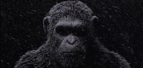 giphy-3.gif