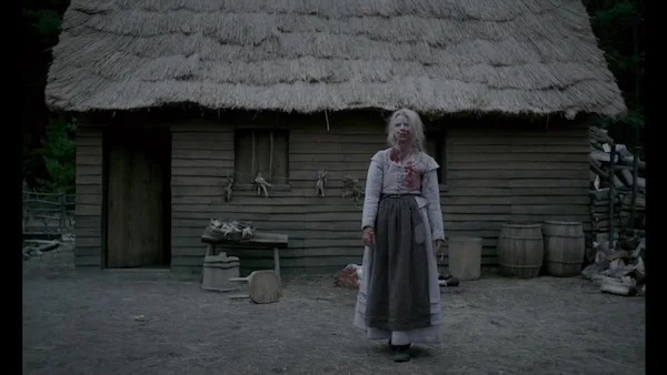 The-Witch-2016.jpg