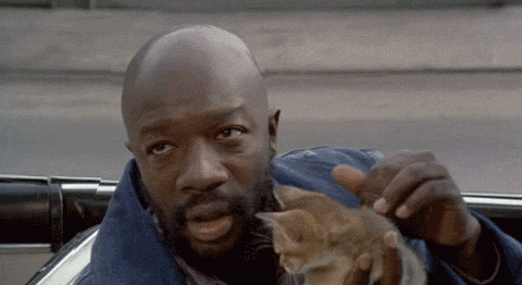 giphy-9.gif
