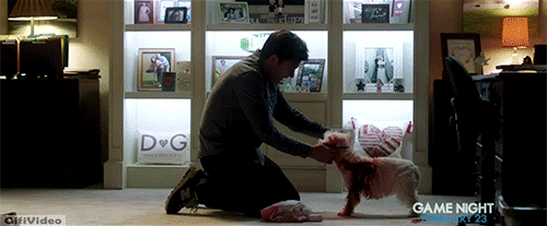 67011f960b600ed8ec9c24b655067b12.gif