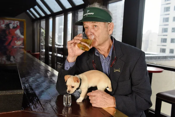 bill-murray.w710.h473.jpg