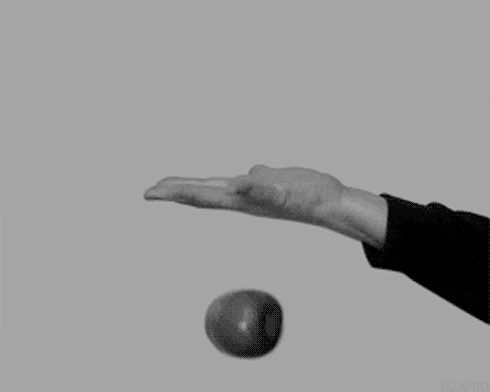 giphy-1.gif