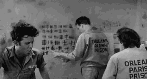 giphy-3.gif