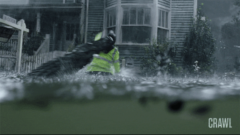 giphy-3.gif