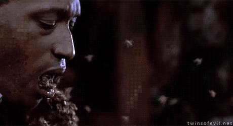 81312.gif