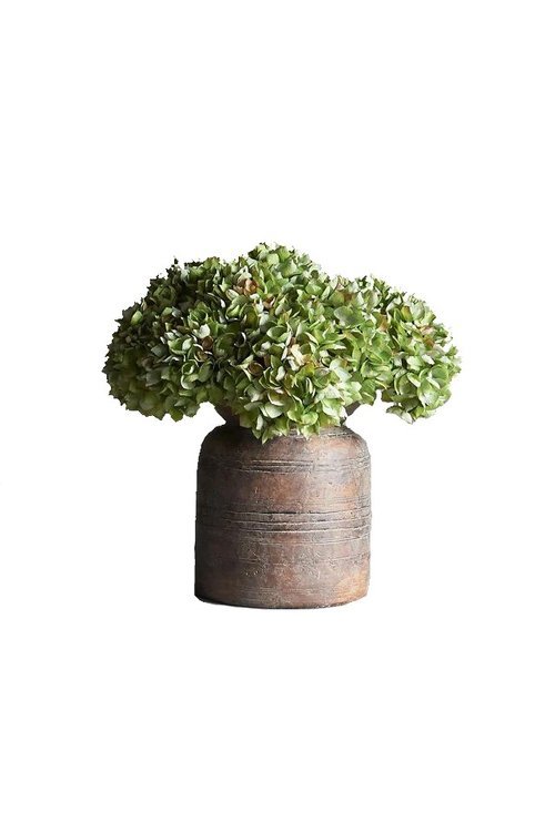 04 - MOSS GREEN HYDRANGEA