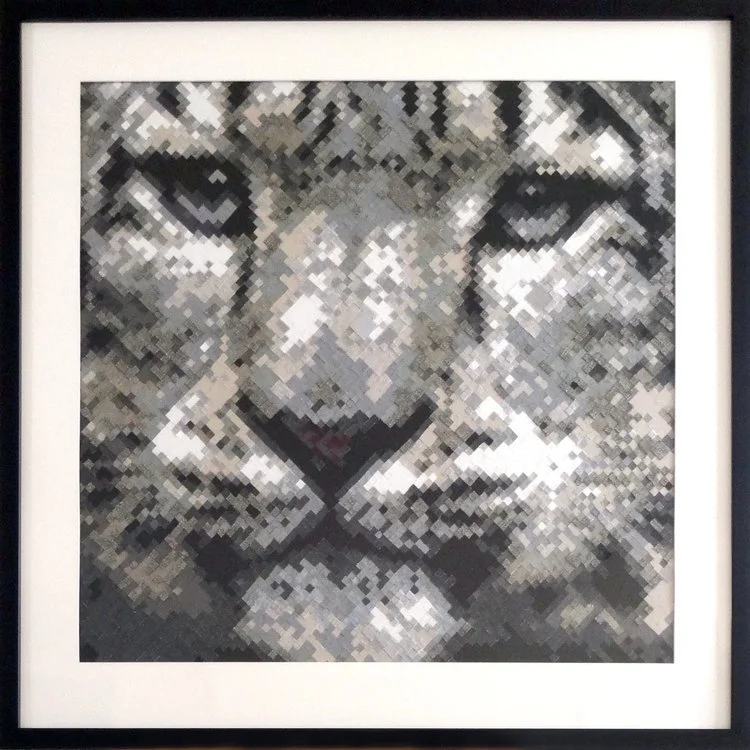snowleopard.jpg
