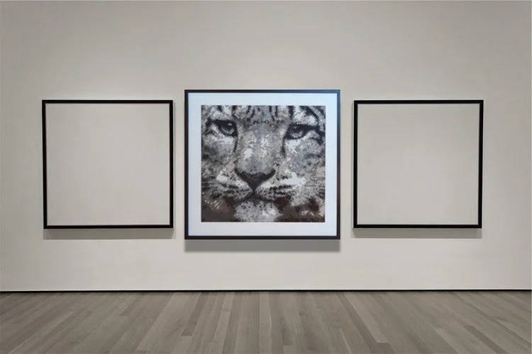 Snowlep_gallery2.jpg