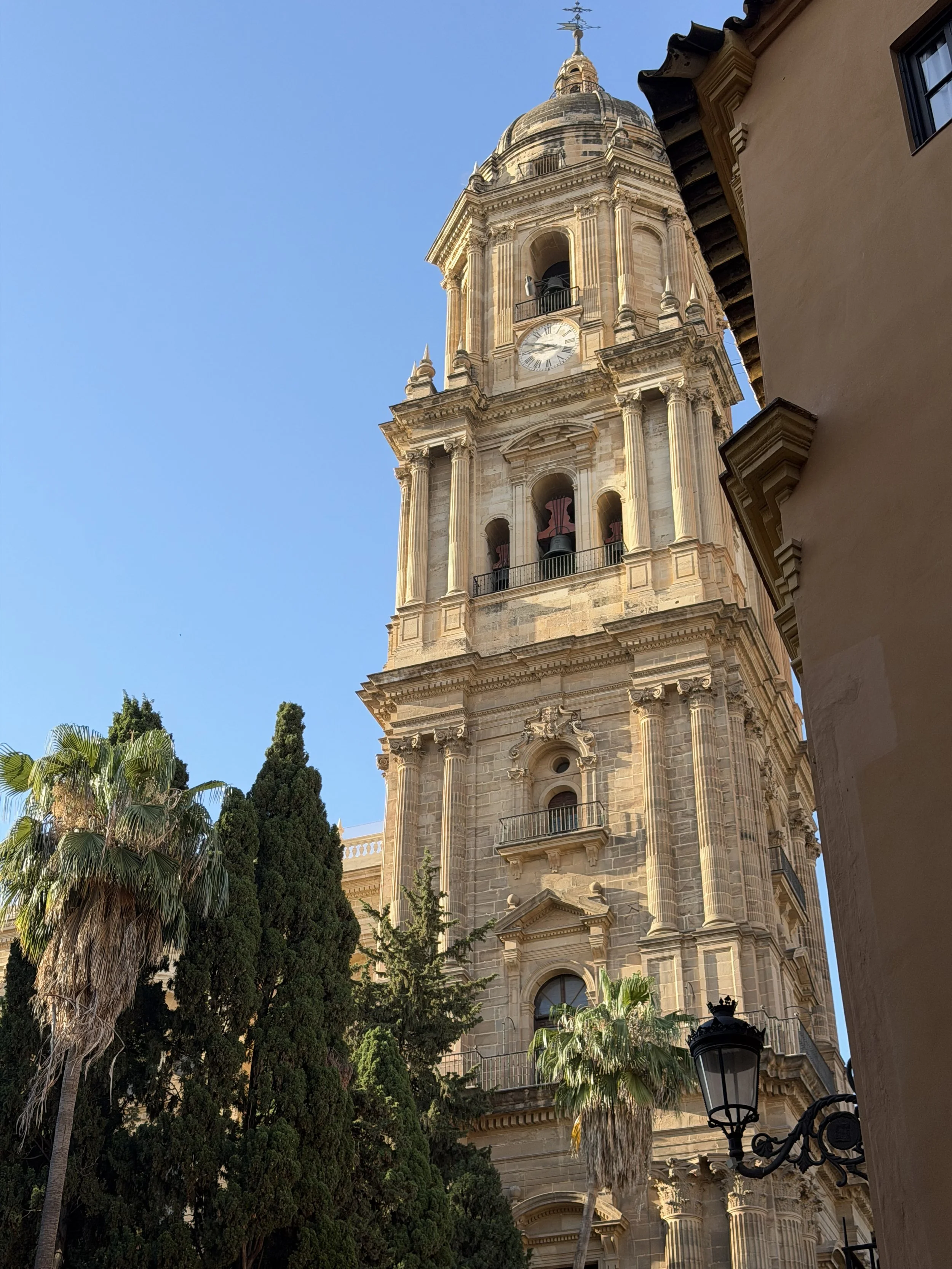 IMG_9110.jpeg