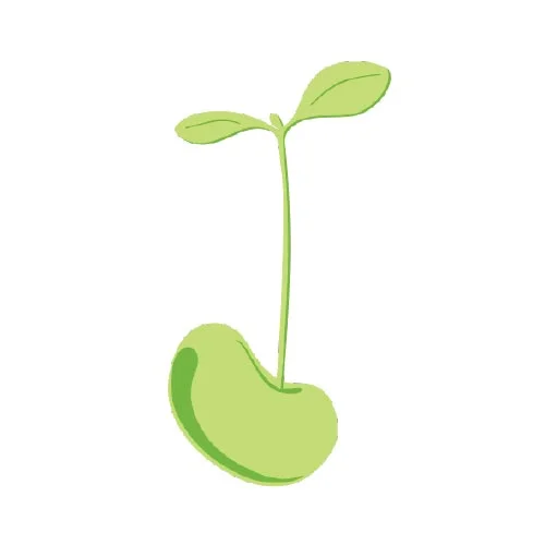 Open Source Foundational Tools