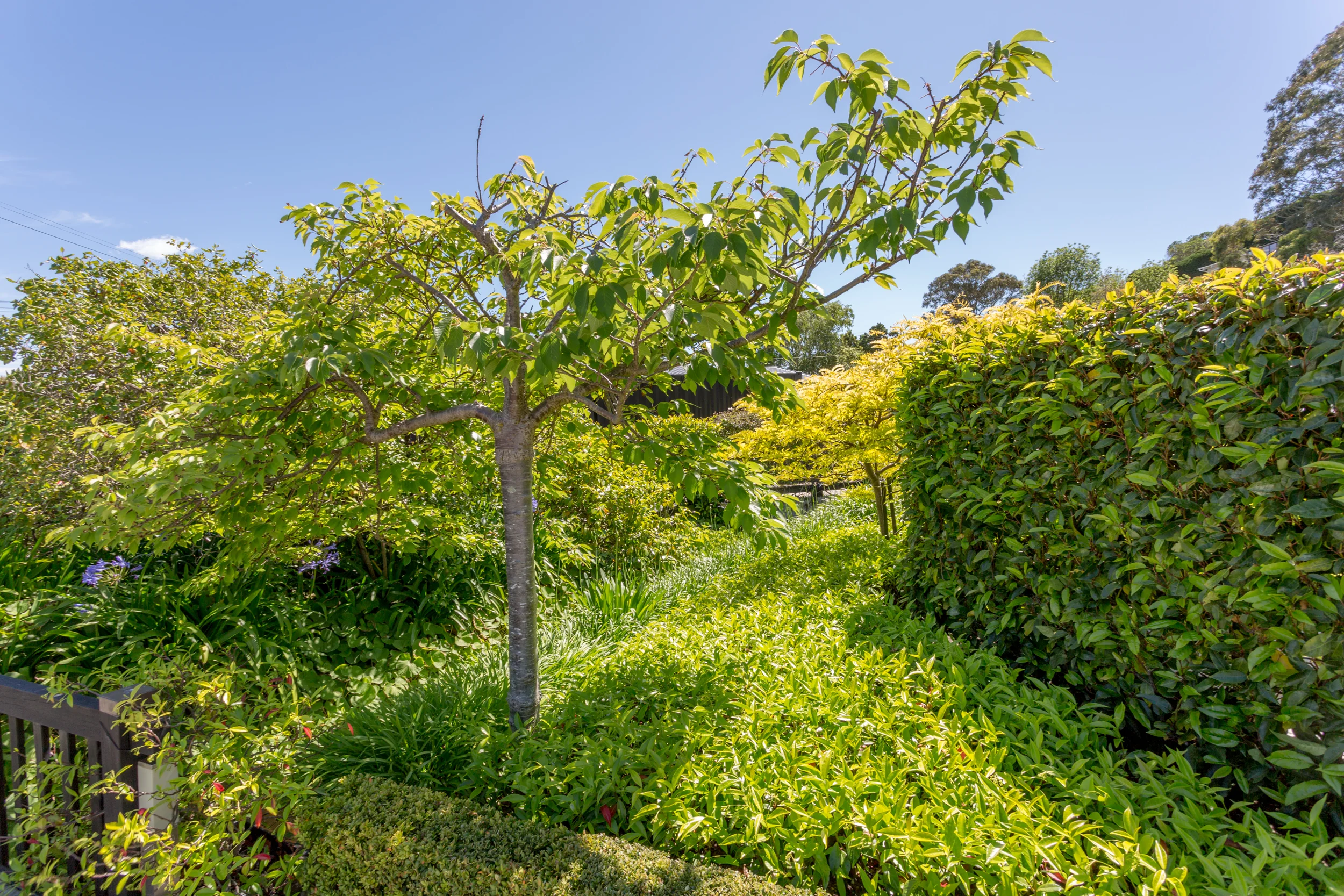 Landscape Design Christchurch
