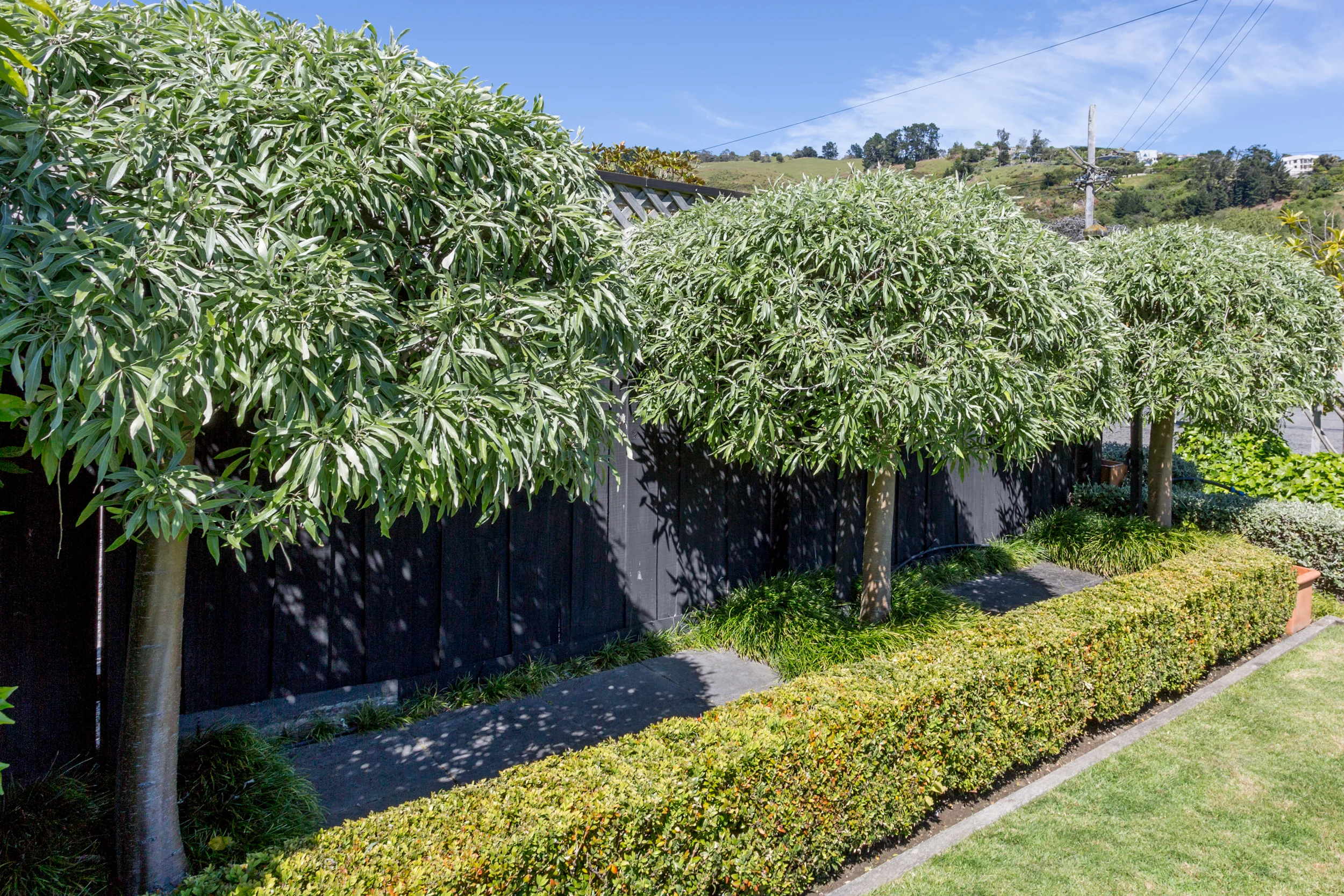 Landscape Design Christchurch