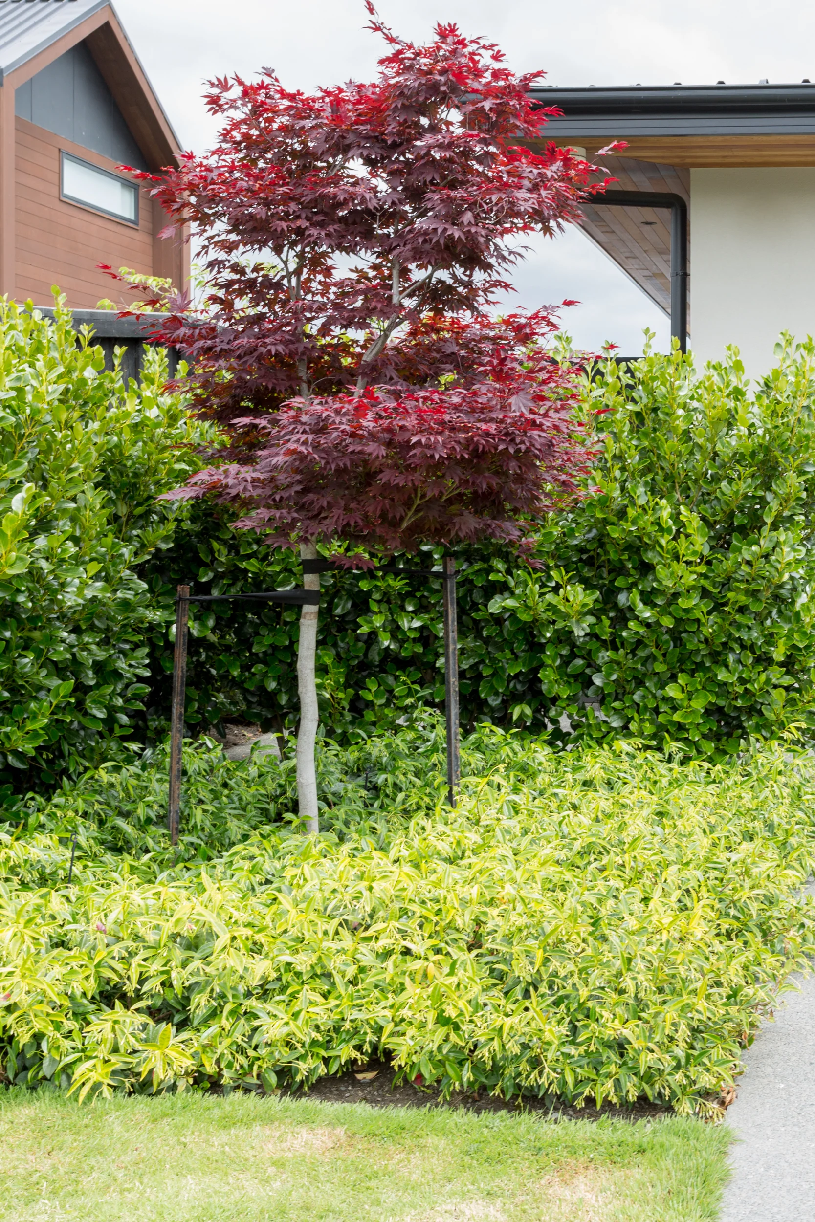 Shotfirer Lane-10.jpg