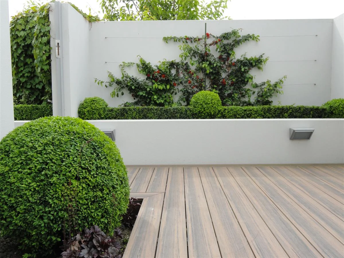 DSC03205 (Custom).JPG