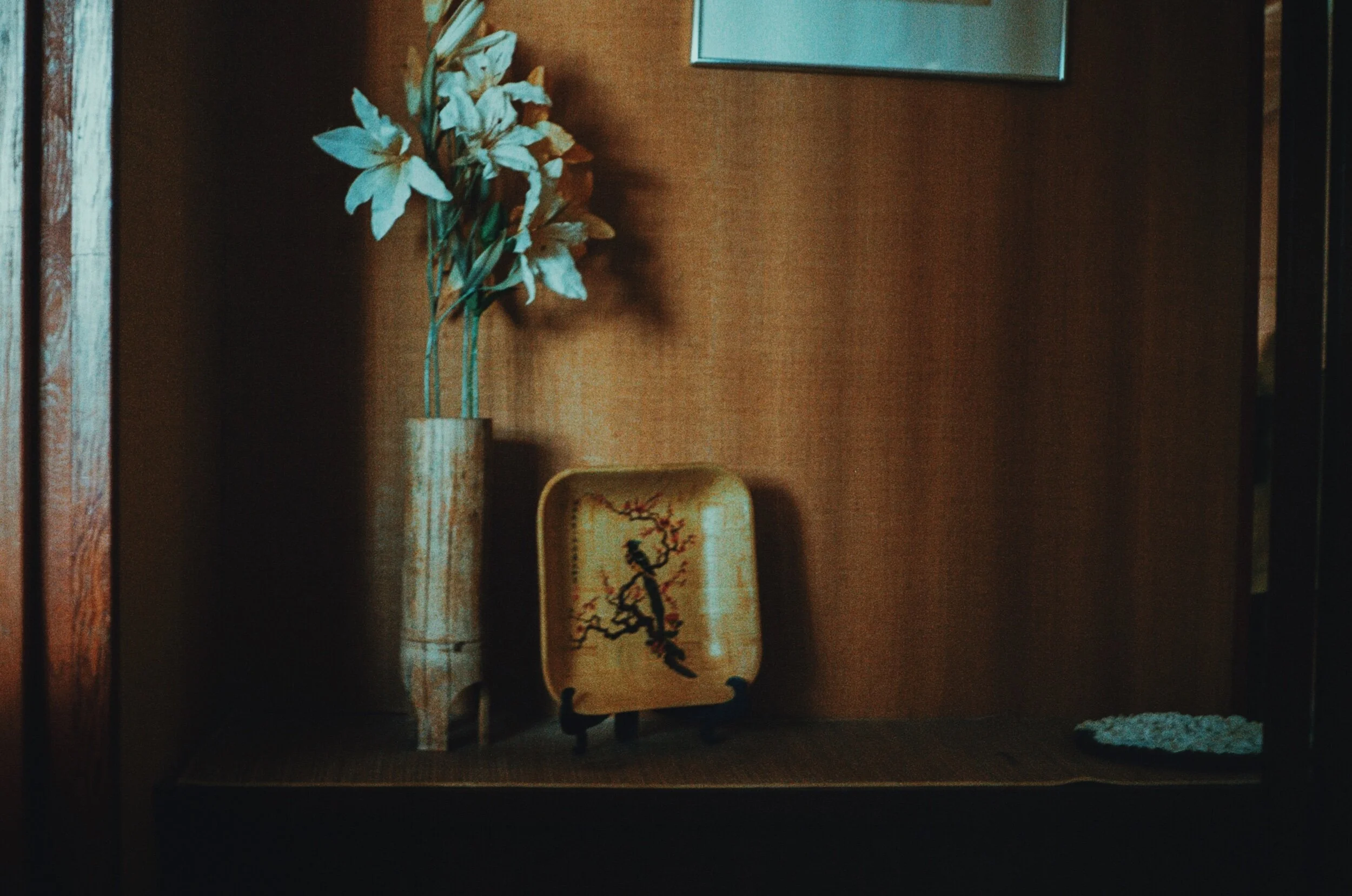 1A8AB2E4-C85E-4842-A650-5607B5E534F0