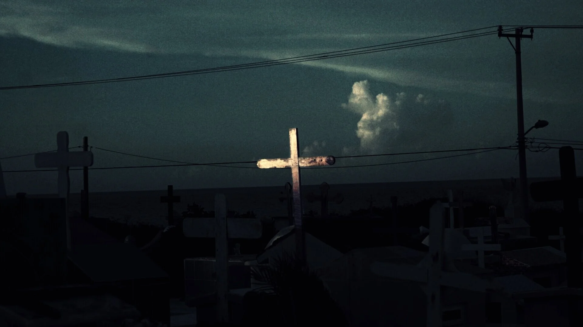 7B6E5C27-2D1B-418E-959C-C8DEB3916593