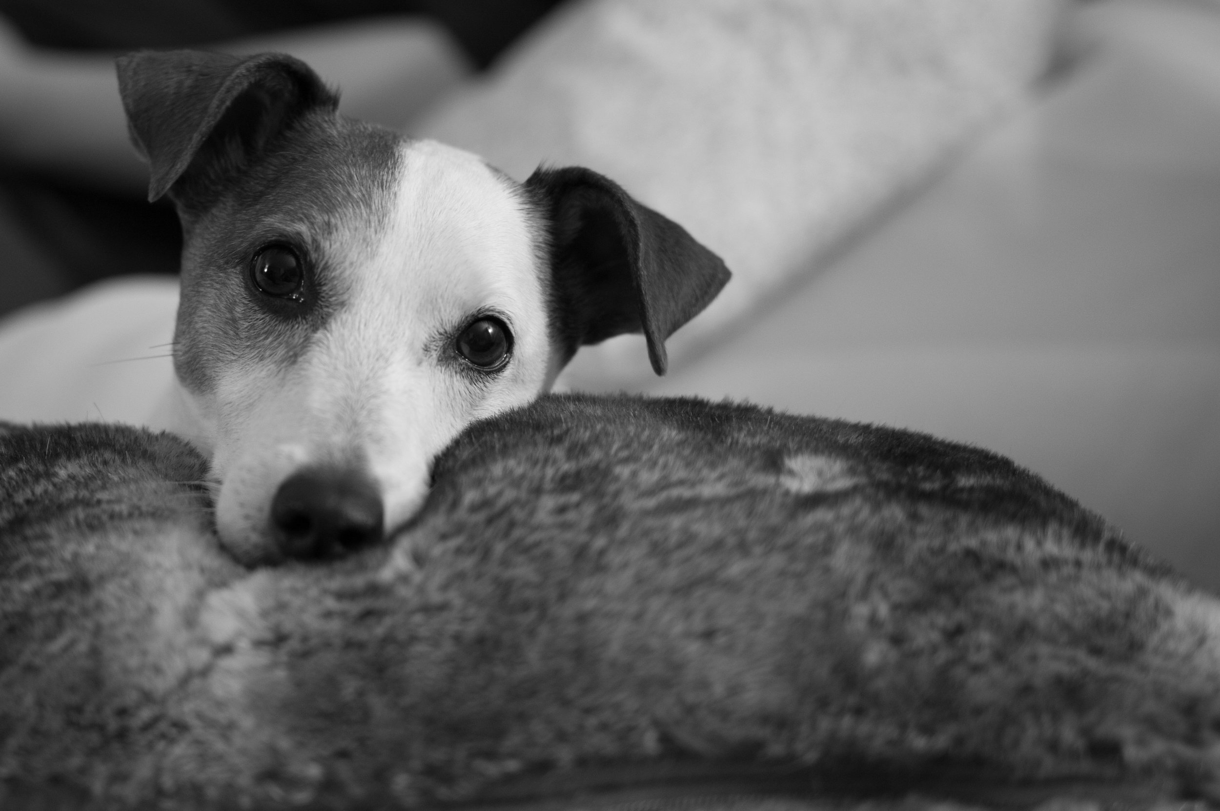 Max at rest