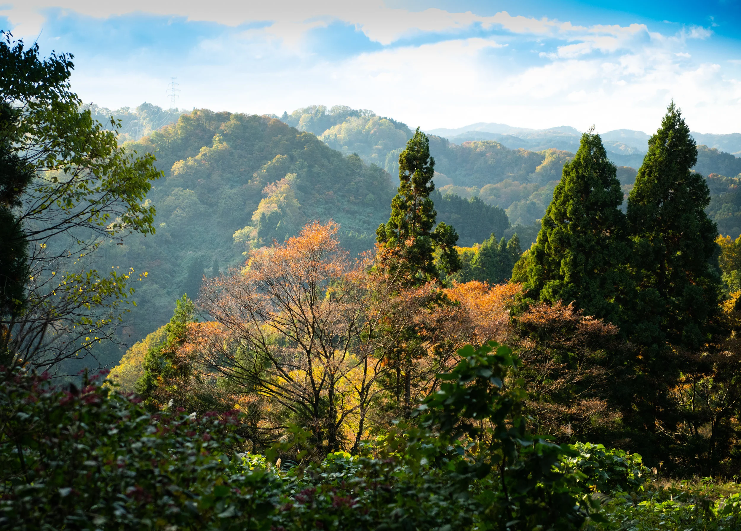 Mountain View / マウンテンヴュー
