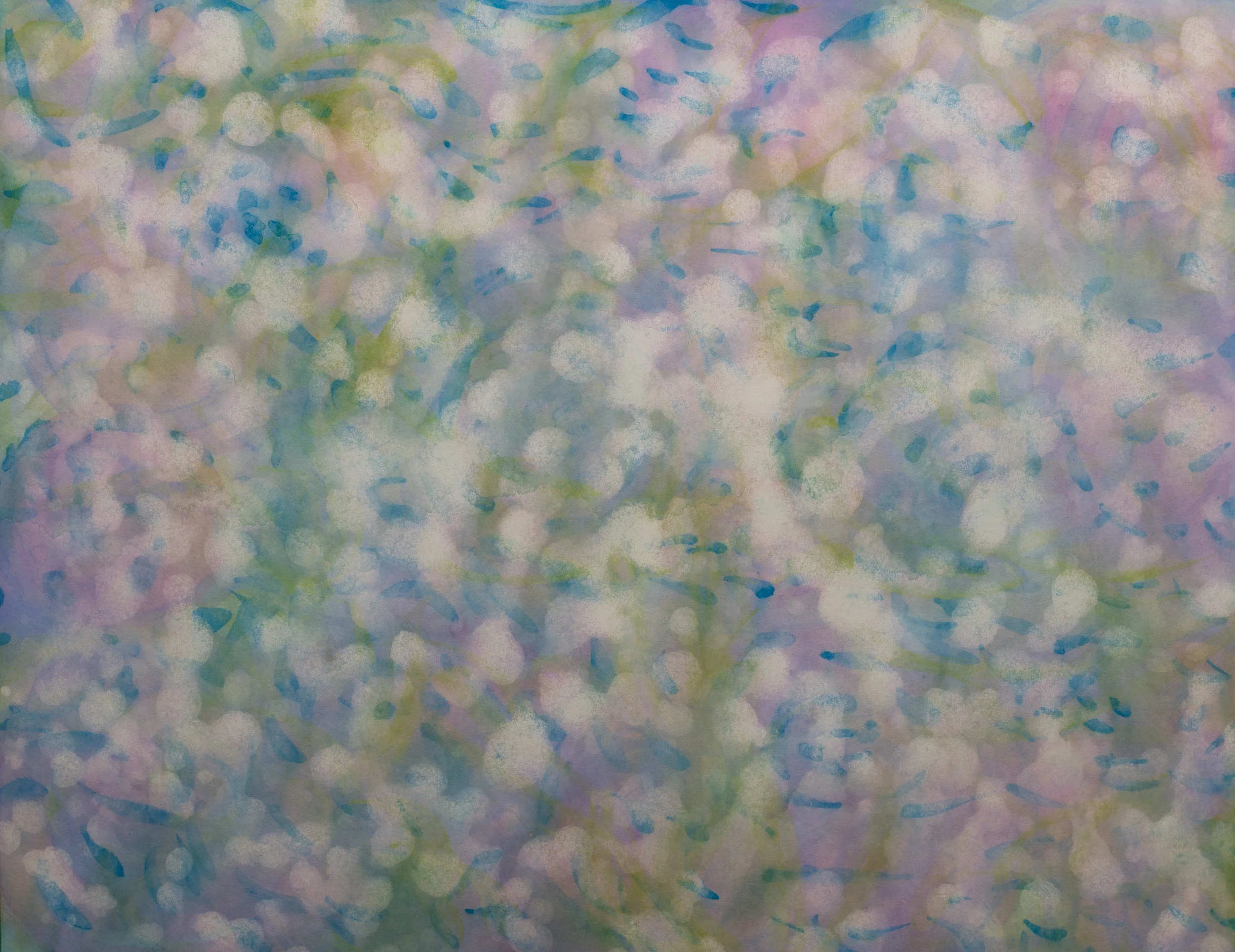 Sea of Clouds #1 / 雲海#1