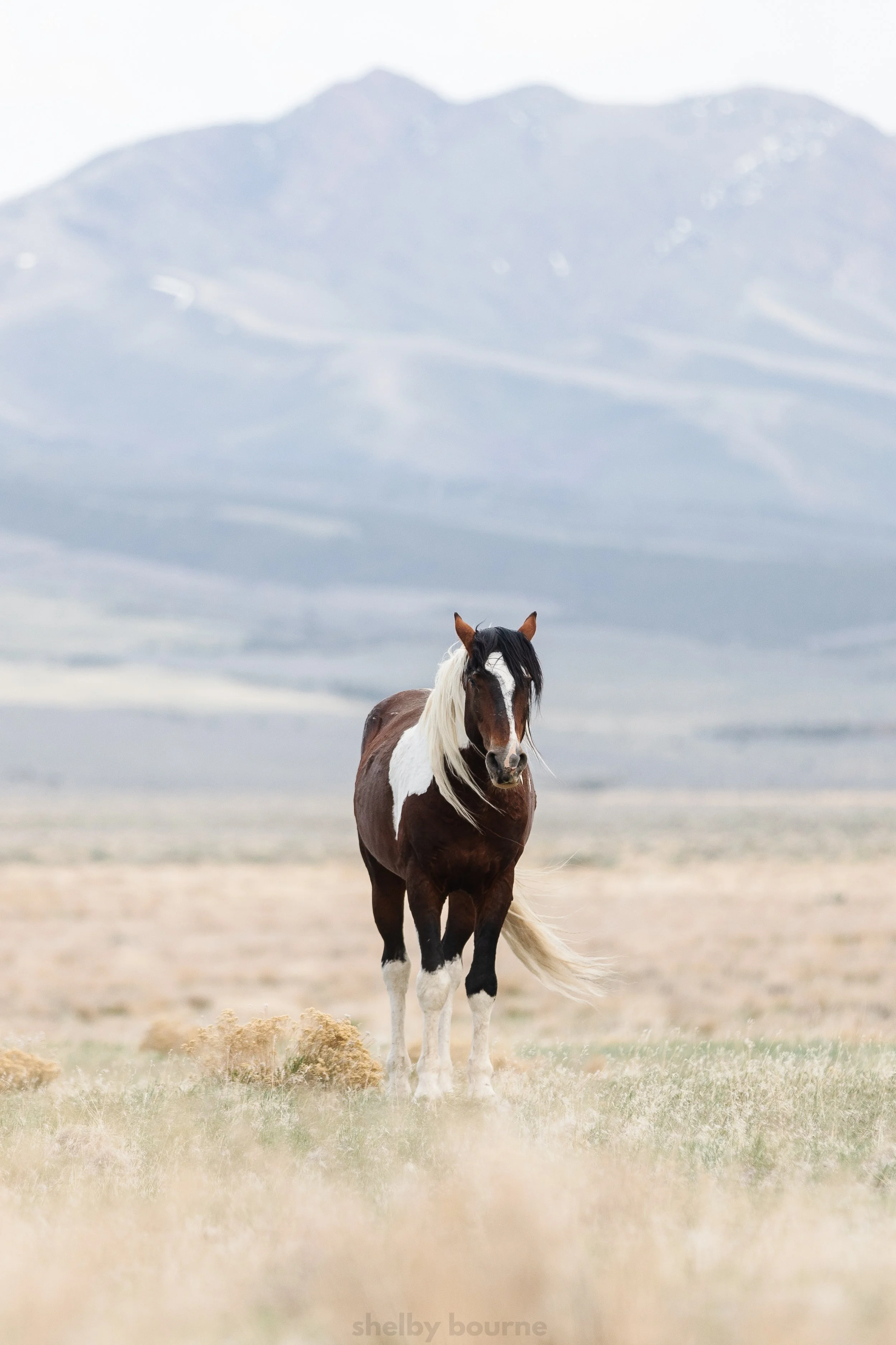 sleeping beauty portrait