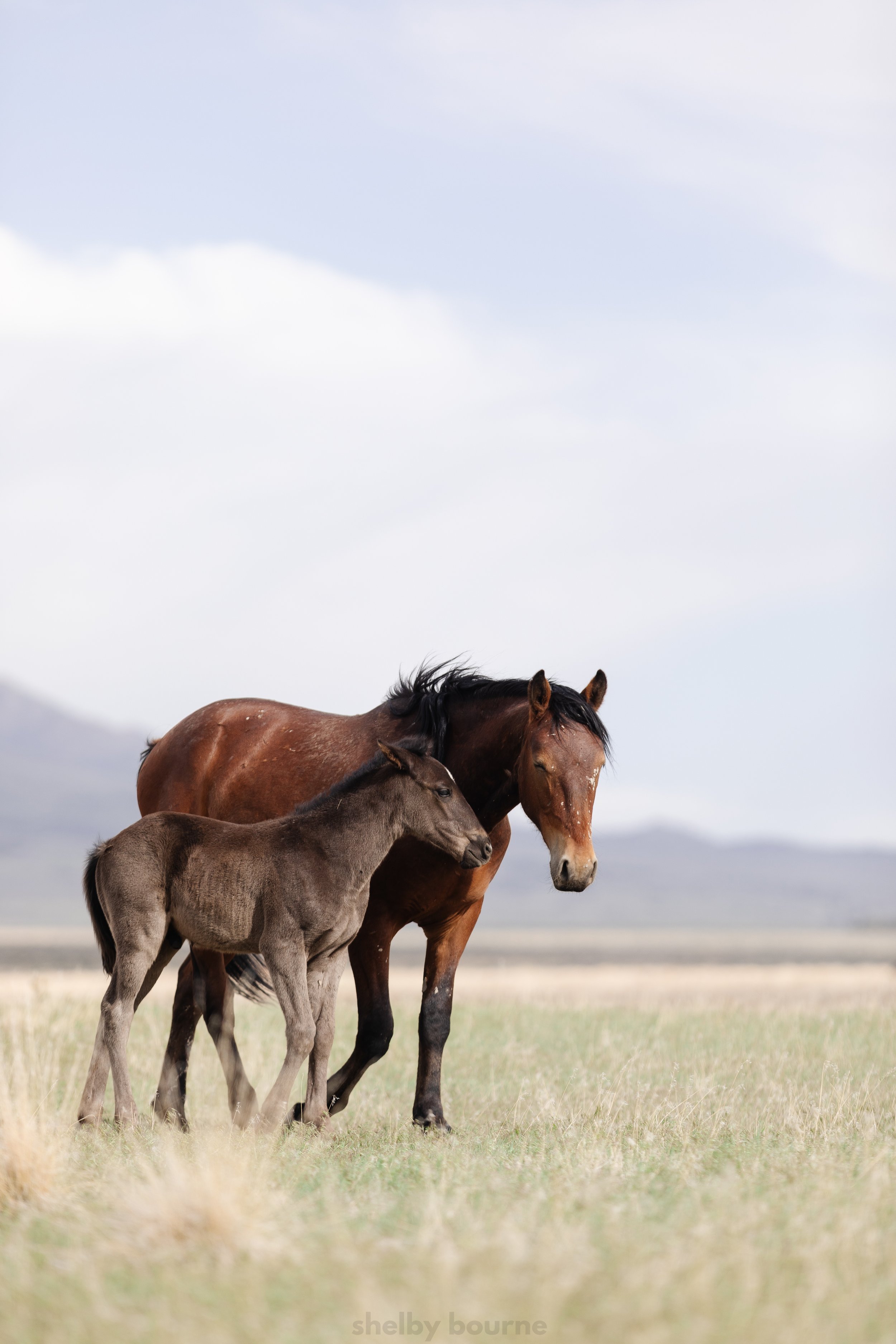 mama