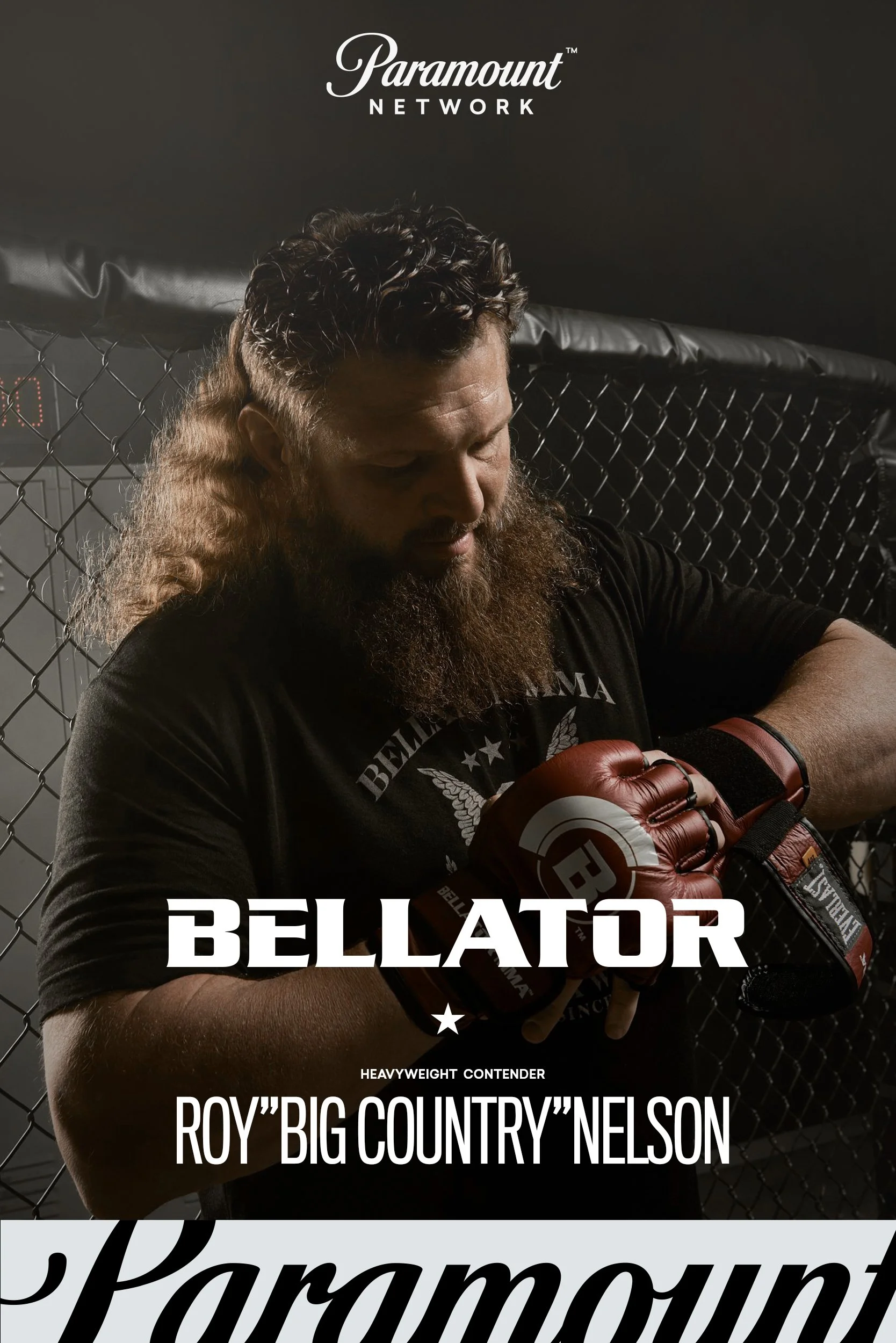 ROYNelson_poster.jpg