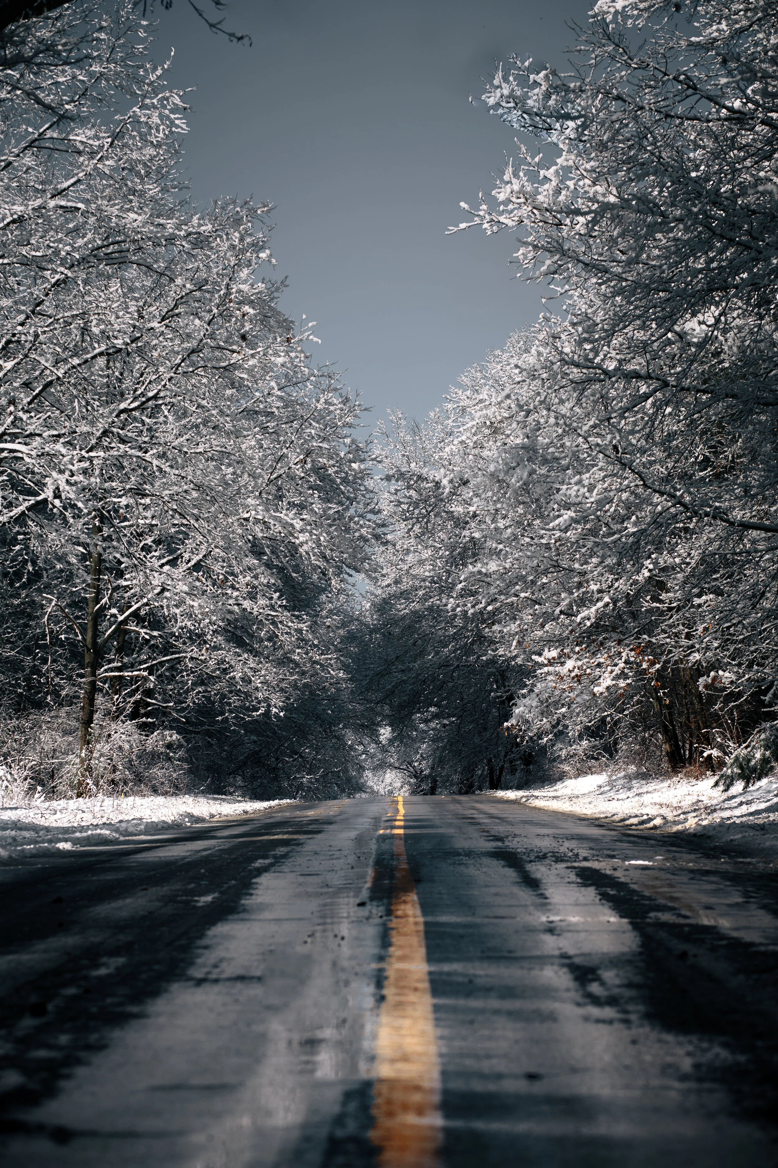 Winter Storm | Pinckney MI Photographer