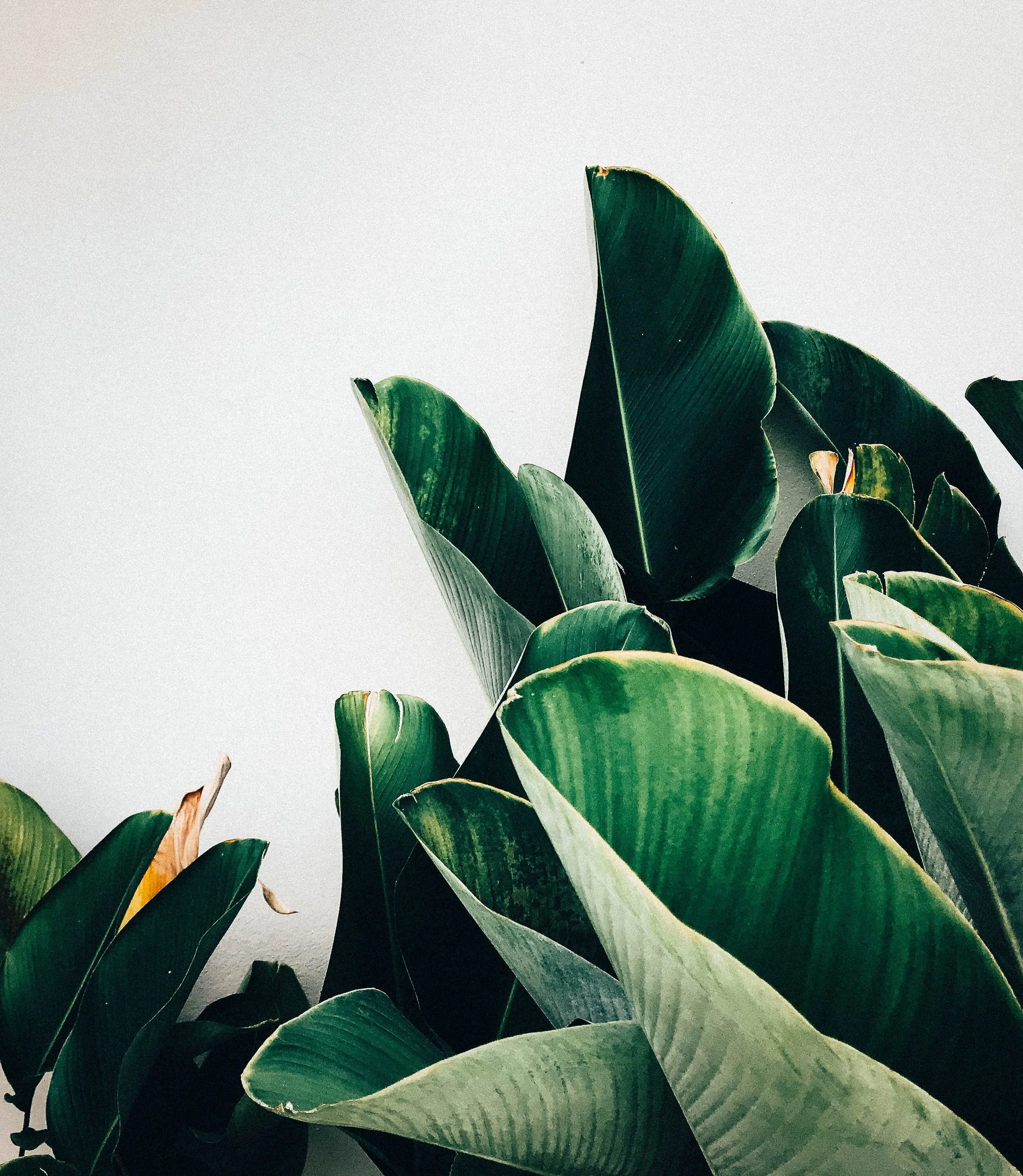 photo by Kiki Siepel on Unsplash
