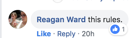 Screen Shot 2019-03-17 at 1.50.35 PM.png