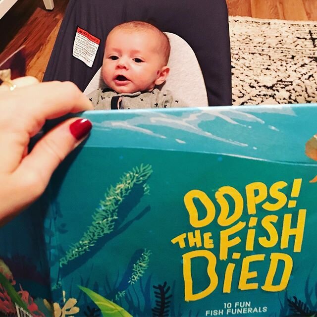 Another wonderful fan! Younger kids love this book beachside of the stunning illustrations and older kids think it&rsquo;s hilarious. Get yours in the link in the bio ☝️.
.
.
.
.
.
#petfish #funnymemes #funnypets #teachersofinstagram petsofinstagram 