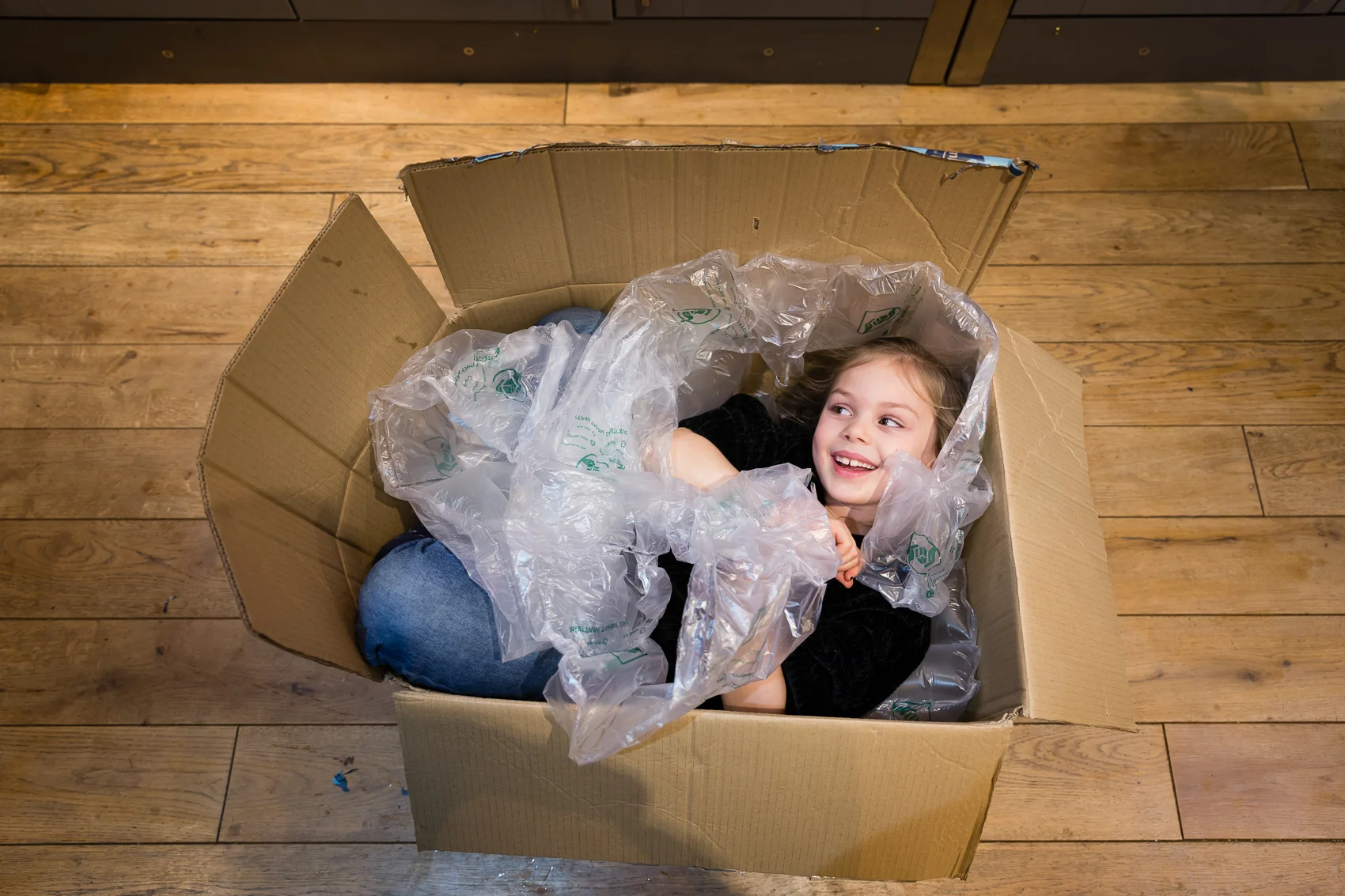 cat in a box…girl in a box. Here to stay.