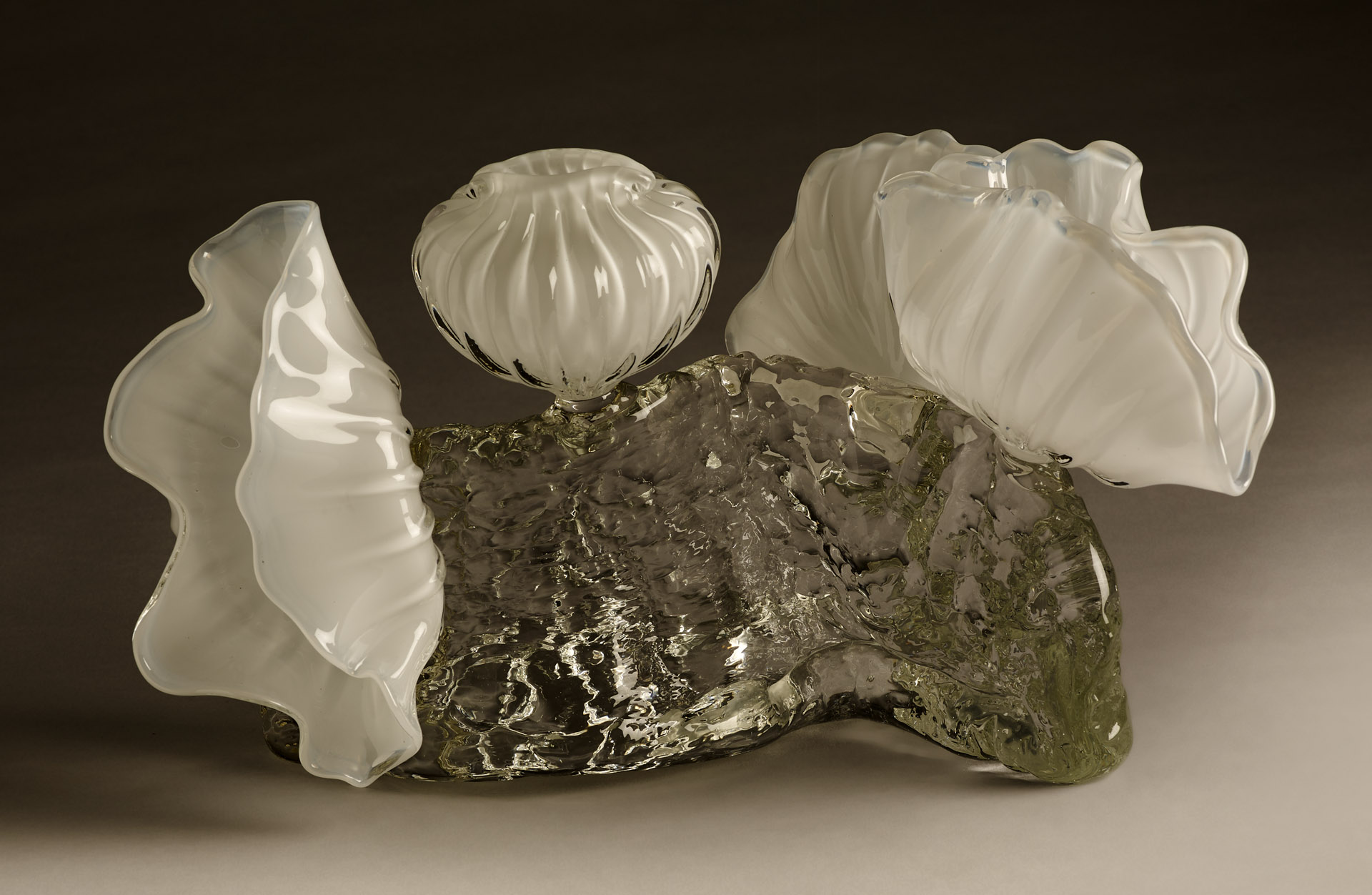 Ivory Wave