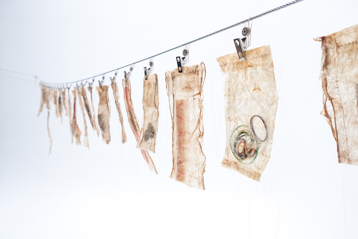   Consumed , 2017 Beluga intestine, thread, found objects; Dimensions variable 
