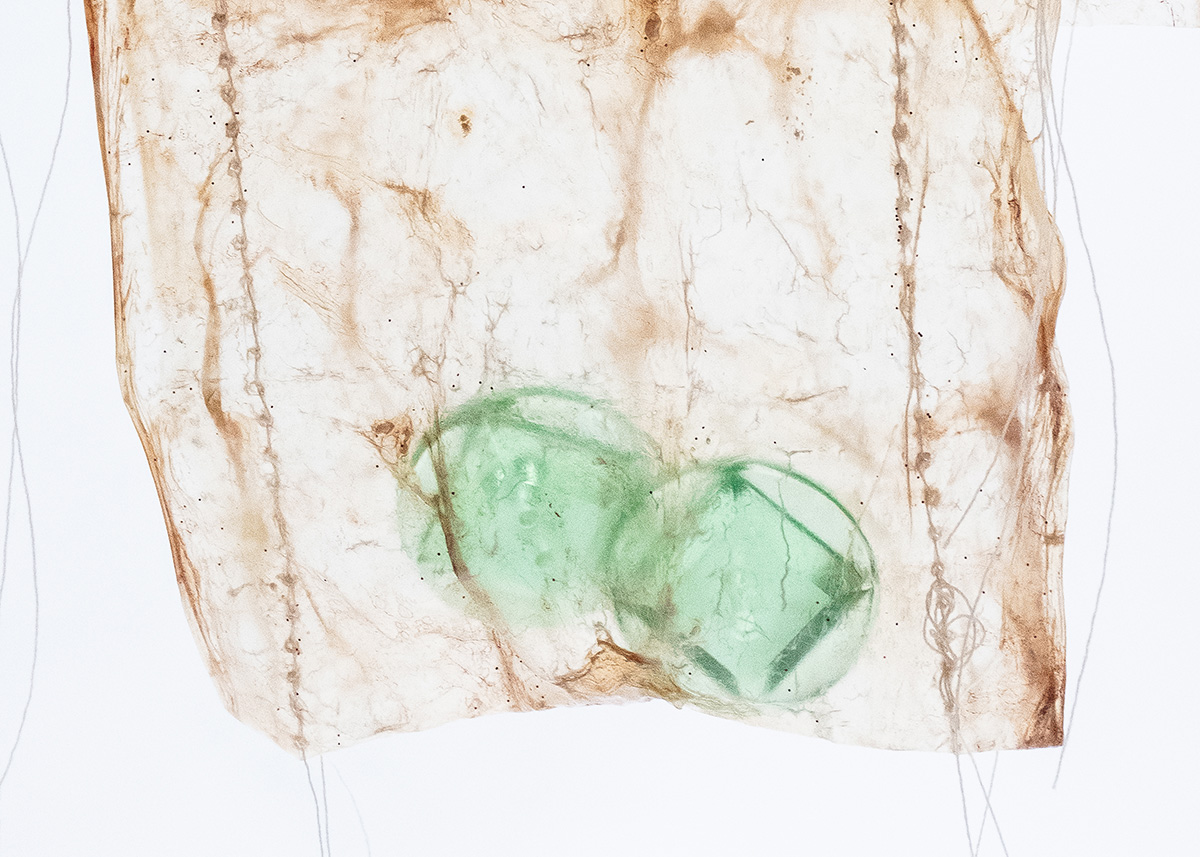 Consumed, 2017 Dimensions variable, Beluga intestine, thread, found objects