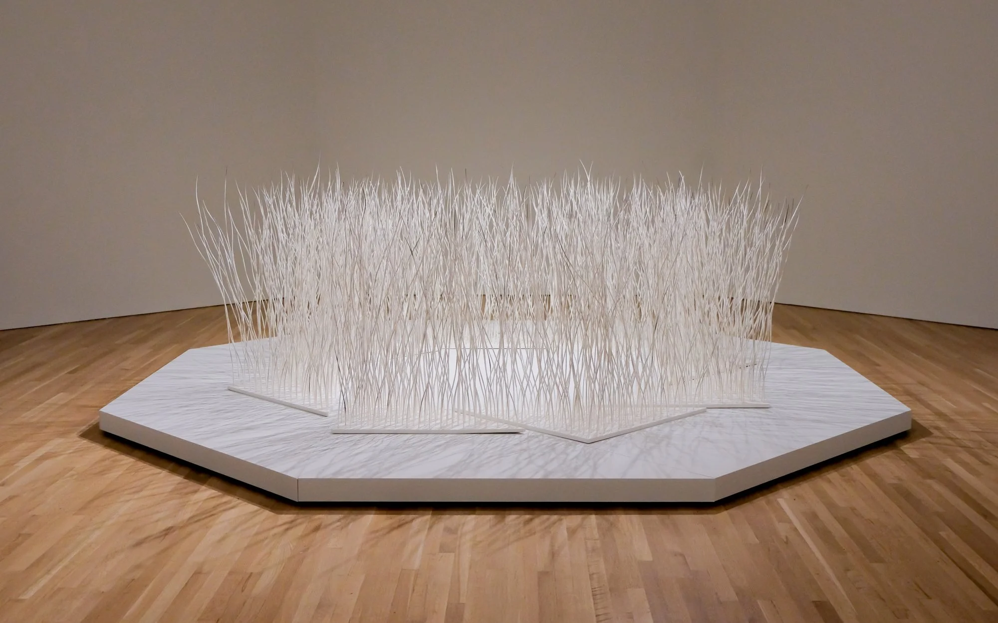 Maureen Gruben-Leading the Way Home-QILLANIQ Installation shot-2.jpg