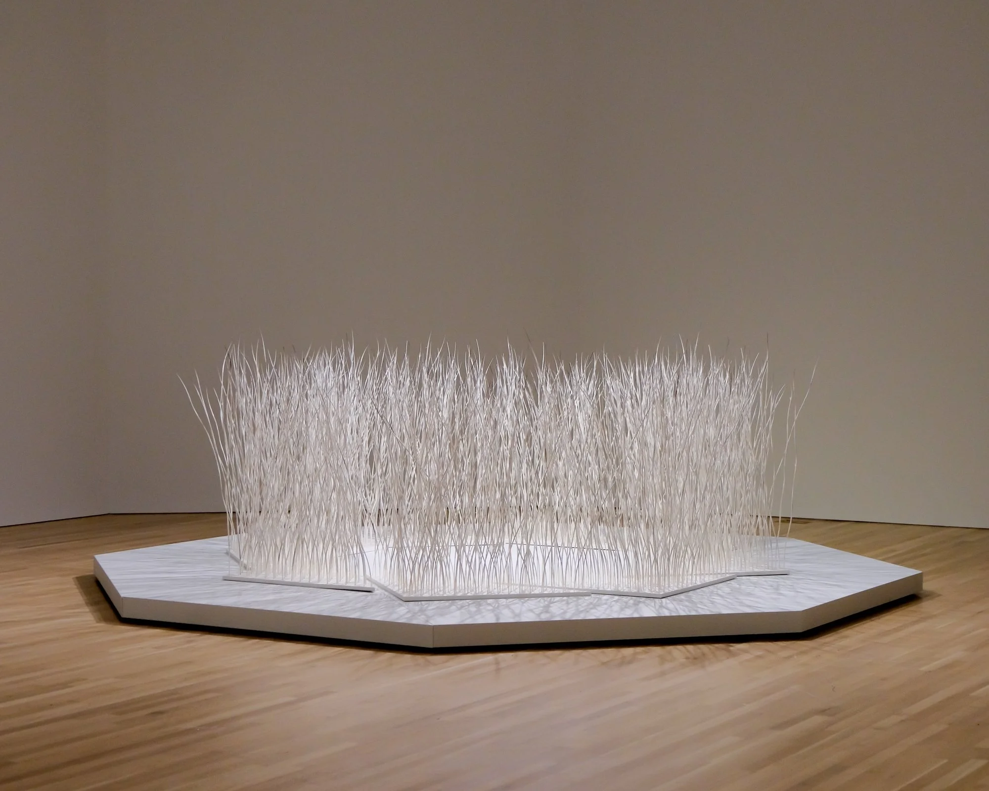 Maureen Gruben-Leading the Way Home-QILLANIQ Installation shot-3.jpg