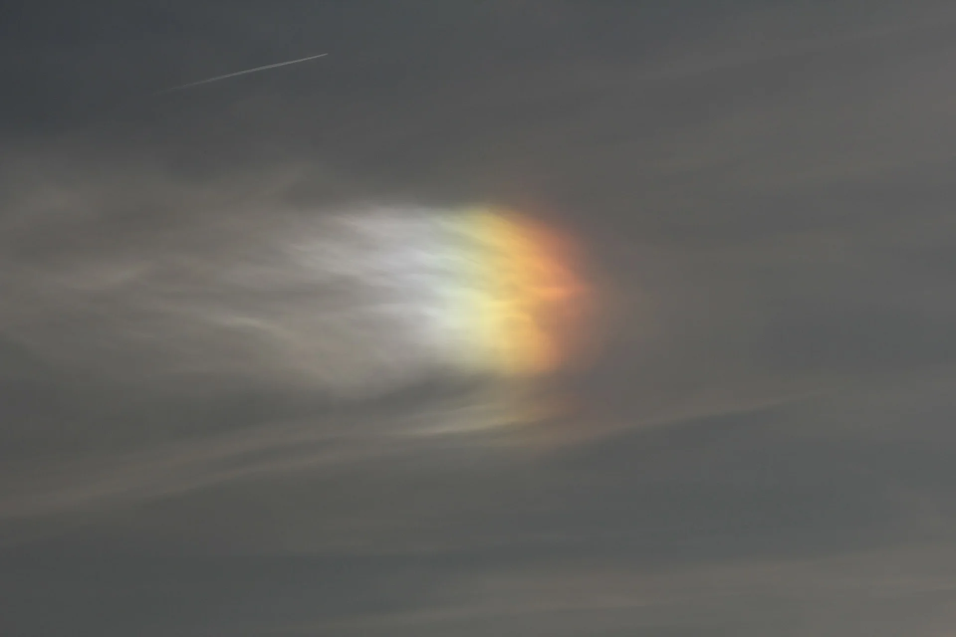 nature-122985_1920.jpg