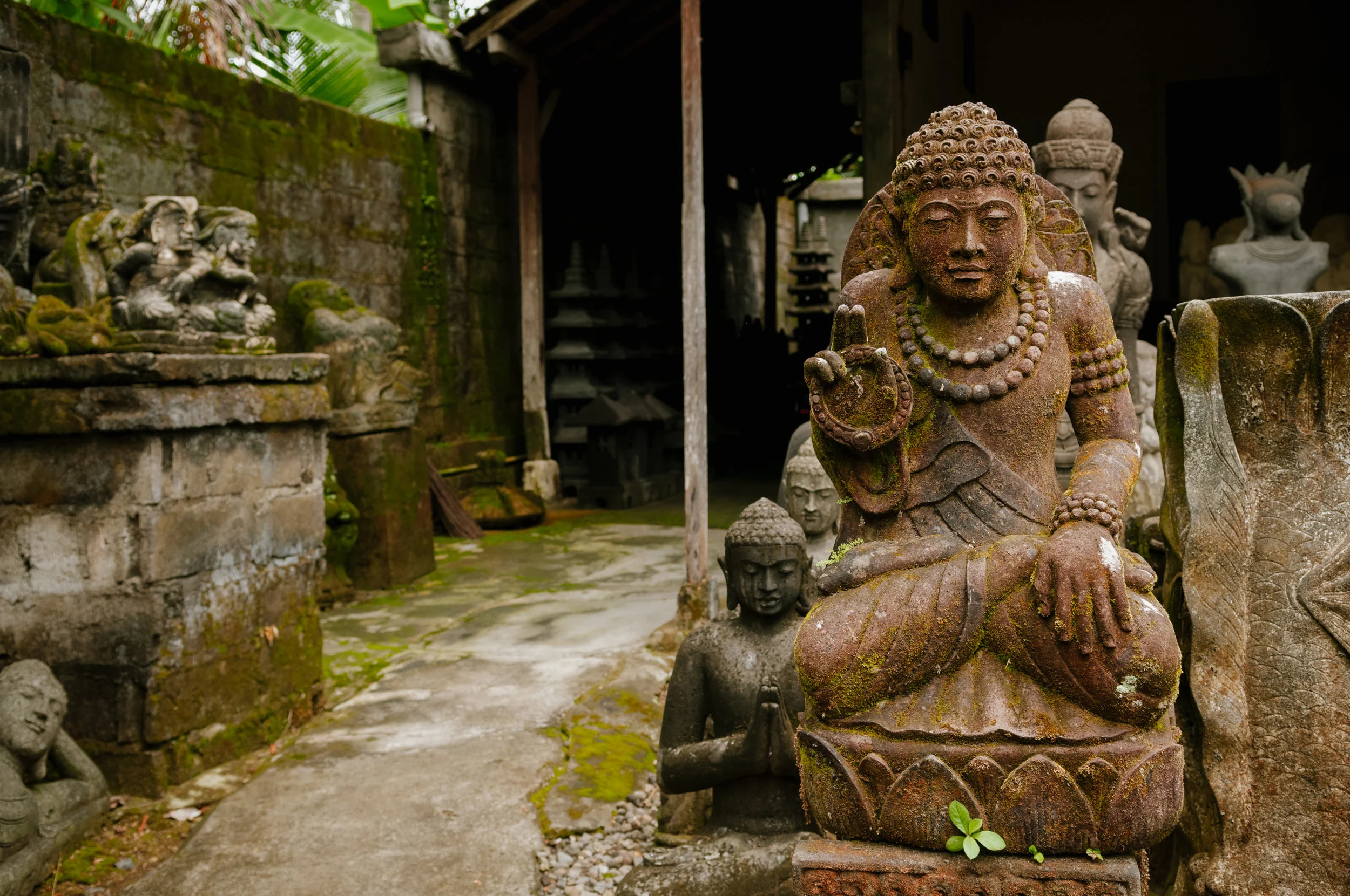 Bali-022.jpg