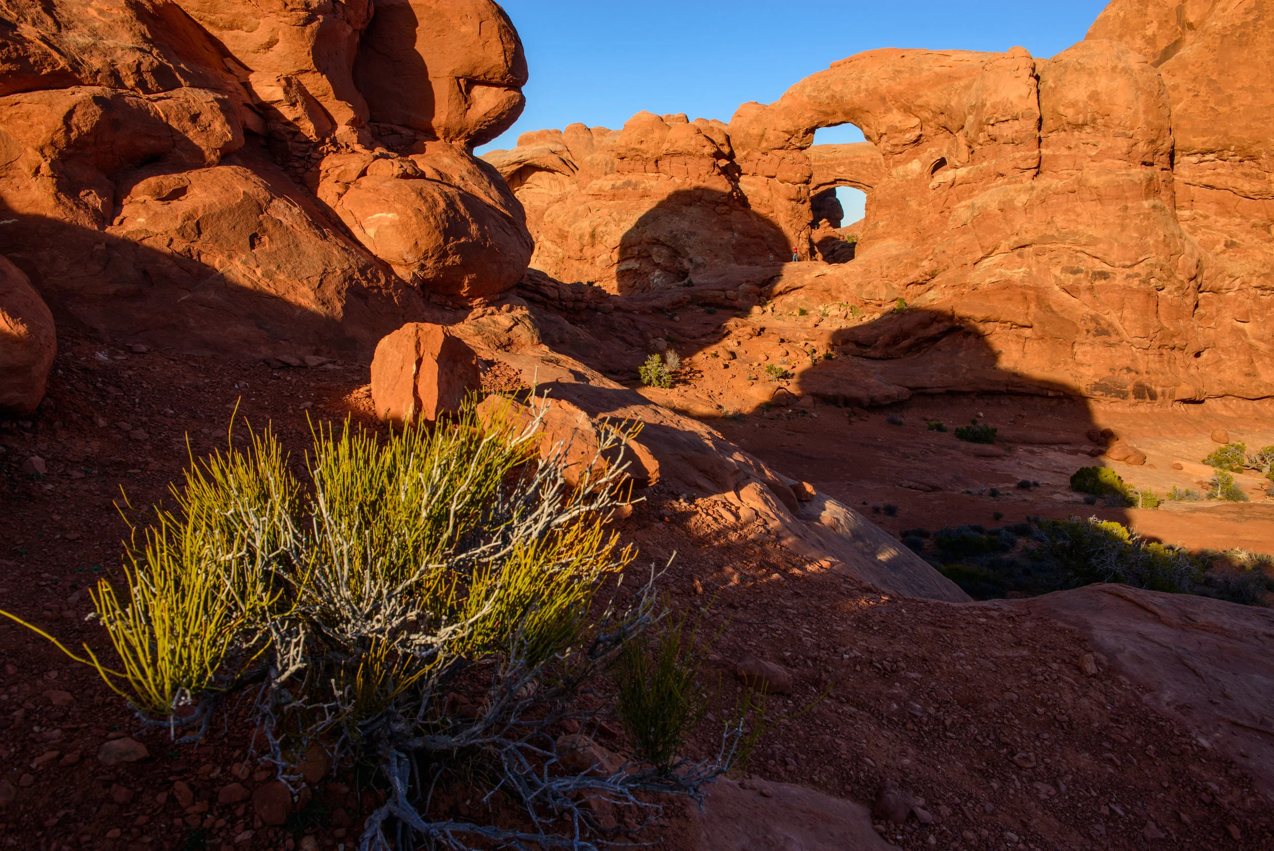 20160304-081-Edit.jpg